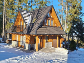 Domek na szczycie Zakopane